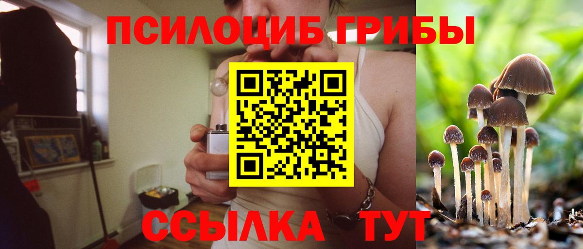 Краснознаменск  сколько стоит  Галлюциногенные грибы GOLDEN TEACHER  Вход с VPN  Псилоцибиновые грибы Magic Shrooms 